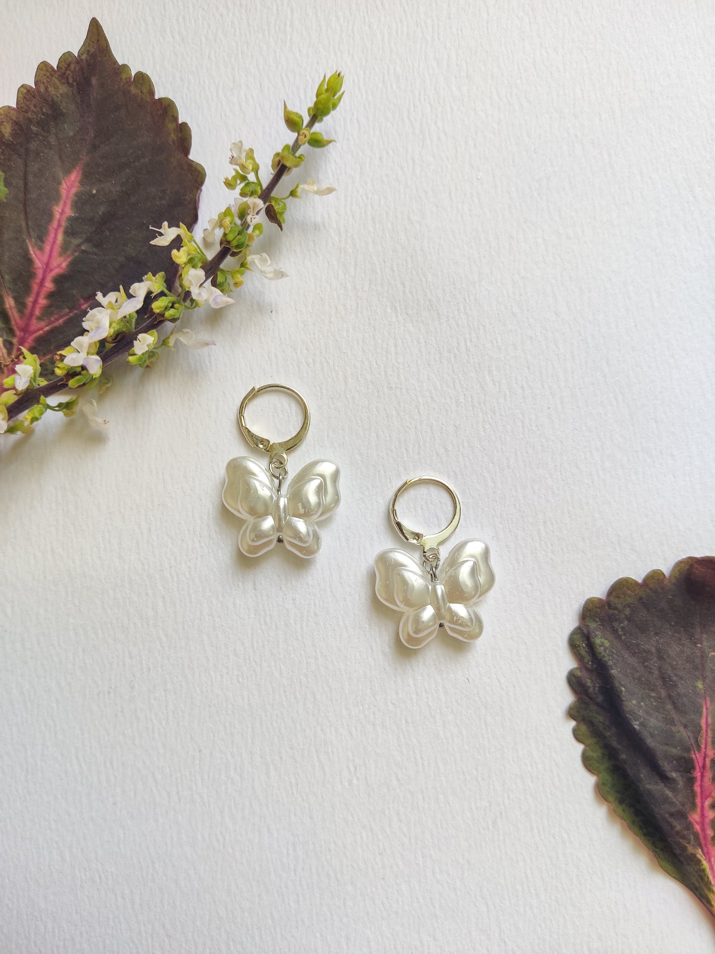Butterfly Set